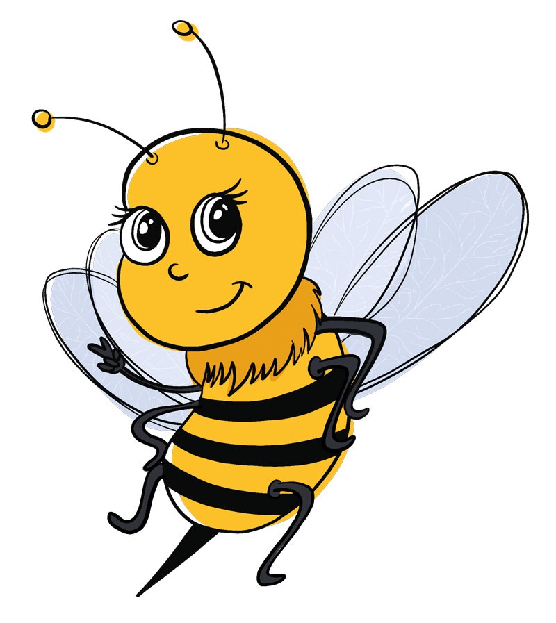 illustration abeille musée
